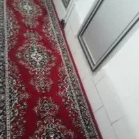 ۲ عدد کناره فرش ۱۲ متری نونونونونونونونونونونونو