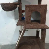 اسکرچر گربه