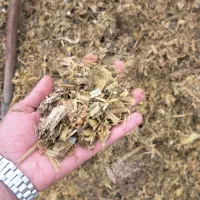 سیلو ذرت درجه یک پردان