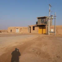 اجاره-دامداری
