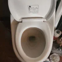 توالت فرنگی