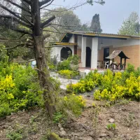 600-متر-باغ-زردنجان