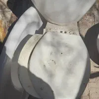 فرنگی نیاز به تعم.یر و س.نگ رو.شور