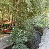 تور یک روزه آبشار زشک طبیعت‌گردی مینی‌بوس کولردار