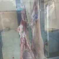 قصابی حمید