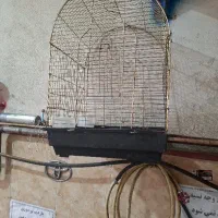 قفس پرنده