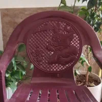 صندلی|تخت و صندلی بچه|ازنا, |دیوار