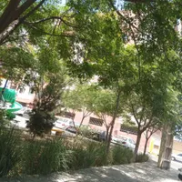 مناسب گل خانه قطعه بندی باغچه