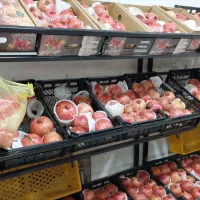 واگذاری میوه فروشی