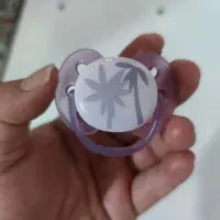 پستونک اونت