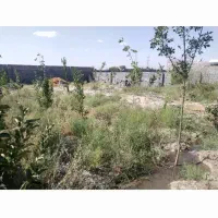 زمین-پانصدمتر-دوردیوار-نهالکاری-استخرنیمه-کاره
