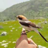 جویای کار اموزشی و اینده دار