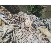 پارچه های مبلی و پلی استر