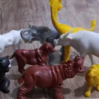 نوستالژی دهه ۶۰. باغ وحش حیوانات