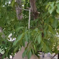 تورو گردشگری