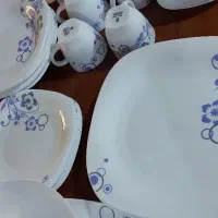 ظروف شیک وخاص