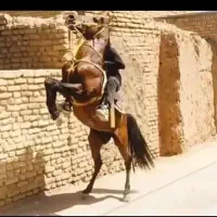 اسب
