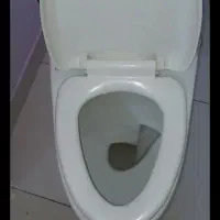 توالت فرنگی