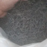 چای بهاره ۱۴۰۵ لاهیجان