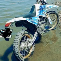 روان دینو