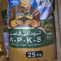 محرک رشد