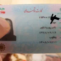 پیدا شده‌