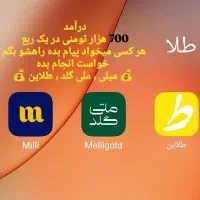 هر کسی بخواد پیام بده بگم