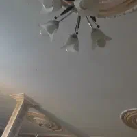 چهارعددلوستراویز