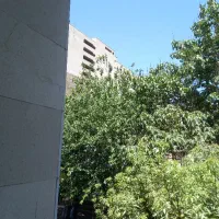 محل-بساط