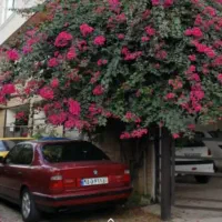 بی ام و e34 مدل ۱۹۹۱ استثنایی
