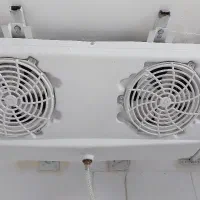 اواپراتور دوفن درحد نو