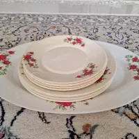 تعدادی بشقاب ملامین