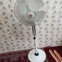 پنکه ایستاده