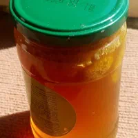 عسل