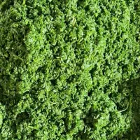 سبزی سرخ نشده