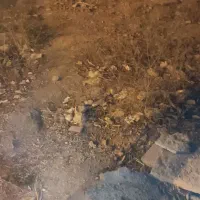 فروش قطعه در با سمتج مهران شهر