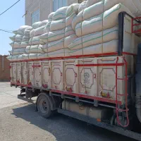 کاه نرم‌خرمنی‌تحویلی