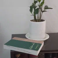 کتاب فرهنگ درست نویسی سخن دکتر حسن انوری