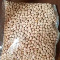 نخود ارگانیک کاشت امسال ،تمیز شده