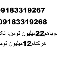 سیمکارت دوقلو