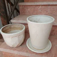 گلدان