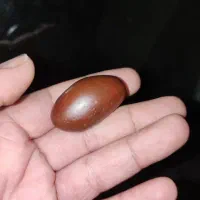 هبهاب گبری قاتل