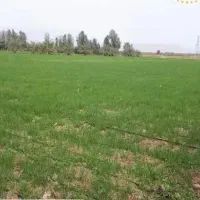 7هزارمتر-زمین-کشاورزی-کمربندی