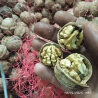 تکاندن‌گردوبافت‌وتوابع‌وروستاهای‌مجاوروبزنجان