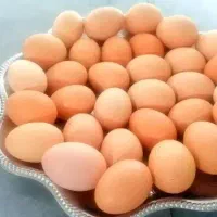 تخم مرغ محلی