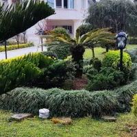 طراحی فضای سبز و محوطه سازی