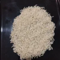 برنج هاشمی ارگانیک گیلان فومن