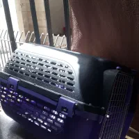 باکس سگ فسرده نشکن خارجی