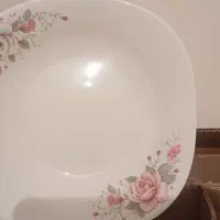 دو سرویس غذا خوردی