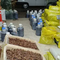 فروش کشمش آفتابی